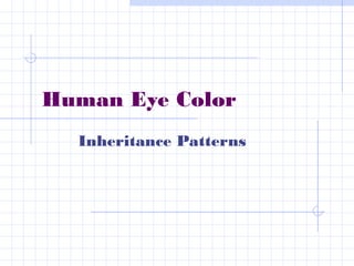 Human Eye Color
Inheritance Patterns
 