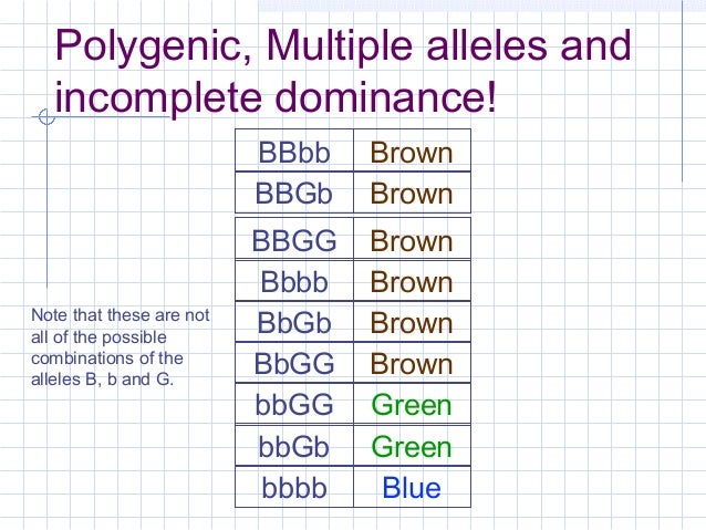 Human eye color inheritance, Mr. Wright Human eye color inheritance, Mr. Wright