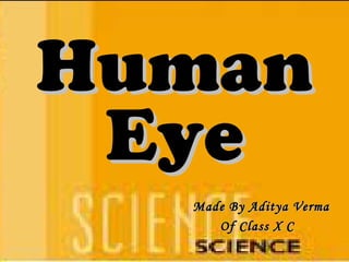 Human eye made by aditya verma x c