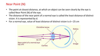 human eye_merged (1) (1).pdf. TOTAL HUMAN EYE AND COLORFUL WORLD ...