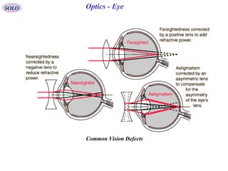 Human eye optics | PPT