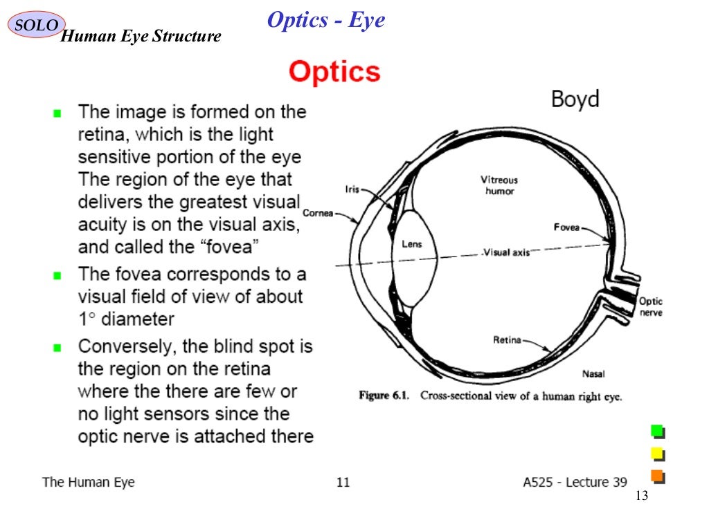 Human eye optics