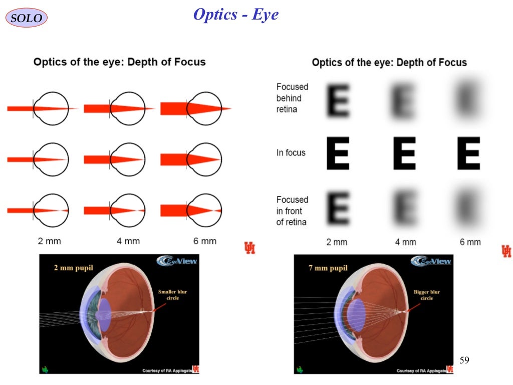 Human eye optics