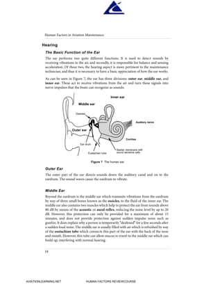 Hearing
The Basic Function of the Ear
The ear performs two quite different functions. It is used to detect sounds by
receiving vibrations in the air, and secondly, it is responsible for balance and sensing
acceleration. Of these two, the hearing aspect is more pertinent to the maintenance
technician, and thus it is necessary to have a basic appreciation of how the ear works.
As can be seen in Figure 7, the ear has three divisions: outer ear, middle ear, and
inner ear. These act to receive vibrations from the air and turn these signals into
nerve impulses that the brain can recognize as sounds.
Outer Ear
The outer part of the ear directs sounds down the auditory canal and on to the
eardrum. The sound waves cause the eardrum to vibrate.
Middle Ear
Beyond the eardrum is the middle ear which transmits vibrations from the eardrum
by way of three small bones known as the ossicles, to the fluid of the inner ear. The
middle ear also contains two muscles which help to protect the ear from sounds above
80 dB by means of the acoustic or aural reflex, reducing the noise level by up to 20
dB. However, this protection can only be provided for a maximum of about 15
minutes, and does not provide protection against sudden impulse noise such as
gunfire. It does explain why a person is temporarily "deafened" for a few seconds after
a sudden loud noise.The middle ear is usually filled with air which is refreshed by way
of the eustachian tube which connects this part of the ear with the back of the nose
and mouth. However, this tube can allow mucus to travel to the middle ear which can
build up, interfering with normal hearing.
Human Factors in Aviation Maintenance
18
Inner ear
Middle ear
Outer ear
Auditory nerve
Cochlea
Basilar membrane with
sound sensitive cells
Eustachian tube
Ear drum
Ossicles
Figure 7 The human ear
HumanFactorsInt_2ndrun.qxd 4/1/2004 11:24 AM Page 21
AVIATIONLEARNING.NET HUMAN FACTORS REVIEWCOURSE
 