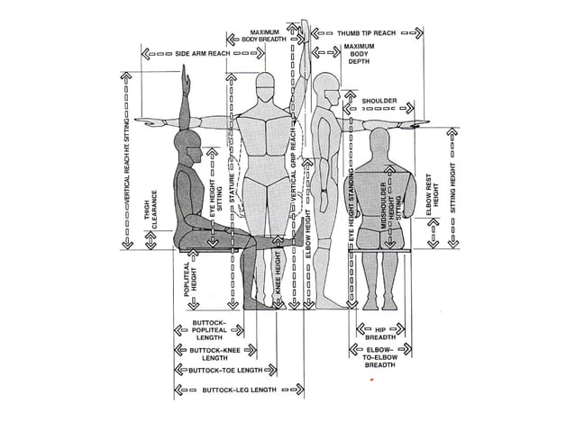 Human factors and ergonomics and anthropometrics | PPT | Science