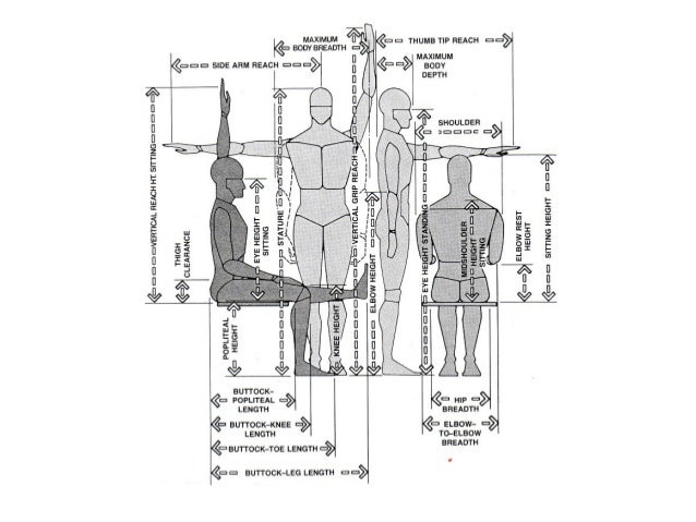 ergonomics and 95th percentile Ergonomics involves the study of people and their relationship with the environment around them it often involves research into the way people interact with. ergonomics and 95th percentile Ergonomics involves the study of people and their relationship with the environment around them it often involves research into the way people interact with.
