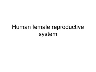 Human female reproductive
system
 