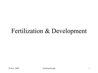 Fertilization & Development 19 Nov. 2008 Fertilization.ppt 