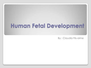 Human Fetal Development
              By : Claudia Fils-aime
 
