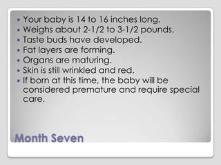 Human Fetal Development | PPTX