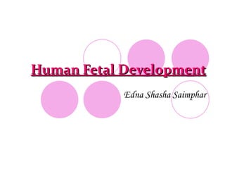 Human Fetal Development
            Edna Shasha Saimphar
 
