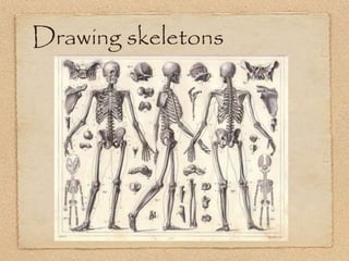 Drawing skeletons
 