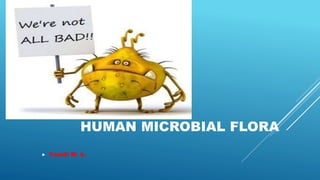 HUMAN MICROBIAL FLORA
 Yasidi M. b.
 