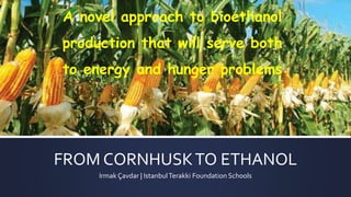 FROM CORNHUSKTO ETHANOL
Irmak Çavdar | IstanbulTerakki Foundation Schools
A novel approach to bioethanol
production that will serve both
to energy and hunger problems
 