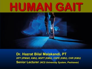 HUMAN GAIT
Dr. Hazrat Bilal Malakandi, PT
DPT (IPM&R, KMU), MSPT (KMU), CHPE (KMU)
Senior Lecturer (NCS University System, Peshawar)
 