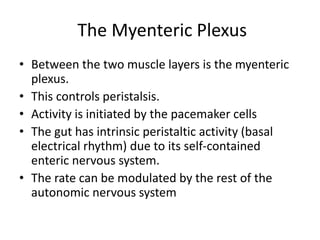 Human gastrointestinal tract | PPTX
