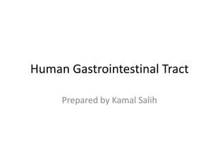 Human Gastrointestinal Tract
Prepared by Kamal Salih
 