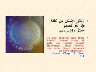 { خَلَقَ الإِنسَانَ مِن نُّطْفَةٍ فَإِذَا هُوَ خَصِيمٌ مُّبِينٌ } (4)  سورة النحل He has created man from Nutfah (mixed drops of male and female sexual discharge), then behold, this same (man) becomes an open opponent.  (Quran. Chap. 16. Ves. 4) ) 