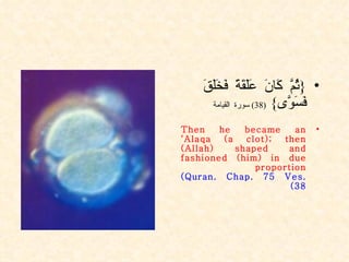 { ثُمَّ كَانَ عَلَقَةً فَخَلَقَ فَسَوَّى }  (38)  سورة القيامة Then he became an ‘Alaqa (a clot); then (Allah) shaped and fashioned (him) in due proportion  (Quran. Chap. 75 Ves. 38) 