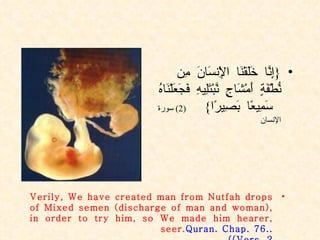 { إِنَّا خَلَقْنَا الْإِنسَانَ مِن نُّطْفَةٍ أَمْشَاجٍ نَّبْتَلِيهِ فَجَعَلْنَاهُ سَمِيعًا بَصِيرًا }  (2)  سورة الإنسان Verily, We have created man from Nutfah drops of Mixed semen (discharge of man and woman), in order to try him, so We made him hearer, seer.  Quran. Chap. 76.. Vers. 2) ) 