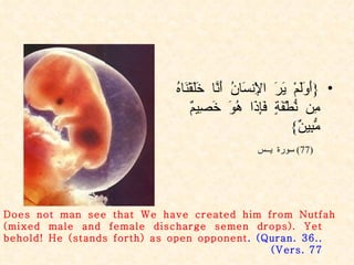 { أَوَلَمْ يَرَ الْإِنسَانُ أَنَّا خَلَقْنَاهُ مِن نُّطْفَةٍ فَإِذَا هُوَ خَصِيمٌ مُّبِينٌ } (77)  سورة يــس Does not man see that We have created him from Nutfah (mixed male and female discharge semen drops). Yet behold! He (stands forth) as open opponent . (Quran. 36.. Vers. 77 ) 
