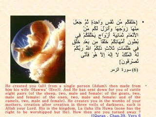 { خَلَقَكُم مِّن نَّفْسٍ وَاحِدَةٍ ثُمَّ جَعَلَ مِنْهَا زَوْجَهَا وَأَنزَلَ لَكُم مِّنْ الْأَنْعَامِ ثَمَانِيَةَ أَزْوَاجٍ يَخْلُقُكُمْ فِي بُطُونِ أُمَّهَاتِكُمْ خَلْقًا مِن بَعْدِ خَلْقٍ فِي ظُلُمَاتٍ ثَلَاثٍ ذَلِكُمُ اللَّهُ رَبُّكُمْ لَهُ الْمُلْكُ لَا إِلَهَ إِلَّا هُوَ فَأَنَّى تُصْرَفُونَ } (6)  سورة الزمر He created you (all) from a single person (Adam); then made from him his wife (Hawwa’ (Eve)). And He has sent down for you of cattle eight pairs (of the sheep, two, male and female; of the goats, two, male and female; of the oxen, two, male and female; and of the camels, two, male and female). He creates you in the wombs of your mothers, creation after creation in three veils of darkness, such is Allah your Lord. His is the kingdom, La ilaha illa Huwa (none has the right to be worshipped but He). How then are you turned away ?  (Quran . Chap.39. Vers 6 ) 