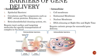  Extracellular
1. Epithelial Barriers;
2. Circulation and The components such as
RBC, serum proteins, Enzymes, etc.
3. Reticuloendothelial cleaning system, etc.
Require inert surface and targeting
molecules for specific transportation of
complex in the blood.
 Intracellular
1. Cell membrane
2. Endosomal Membrane
3. Nuclear Membrane
4. DNA releasing at Right Site and Right Time
Require cationic groups for successful gene
delivery.
18
 
