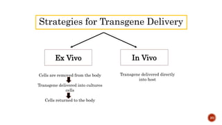 Strategies for Transgene Delivery
20
Ex Vivo In Vivo
Cells are removed from the body
Transgene delivered into cultures
cells
Cells returned to the body
Transgene delivered directly
into host
 