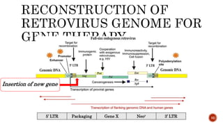 325’ LTR Packaging Gene X Neor 3’ LTR
Insertion of new gene
 