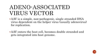 AAV is a simple, non-pathogenic, single stranded DNA
virus dependent on the helper virus (usually adenovirus)
for replication.
AAV enters the host cell, becomes double stranded and
gets integrated into host genome.
39
 