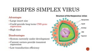 Advantages
 Large insert size
 Could provide long-term CNS gene
expression
 High titer
Disadvantages
 System currently under development
 Current vectors provide transient
expression
 Low transduction efficiency 41
 