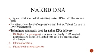  It is simplest method of injecting naked DNA into the human
body.
 Relatively low level of expression and but sufficient for use in
DNA vaccination.
 Techniques commonly used for naked DNA delivery:
1. Biolistics (or gene gun) now used routinely. DNA coated
particles are literally blasted into cells by an explosive
discharge.
2. Electroporation
3. Pronuclear microinjection
45
 