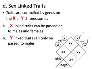 d. Sex Linked Traits
• Traits are controlled by genes on
  the X or Y chromosomes
a. _X linked traits can be passed on
   to males and females
b. _Y linked traits can only be
   passed to males
 