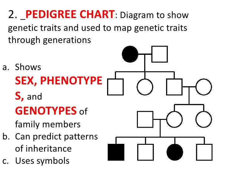 Genetic Traits Chart