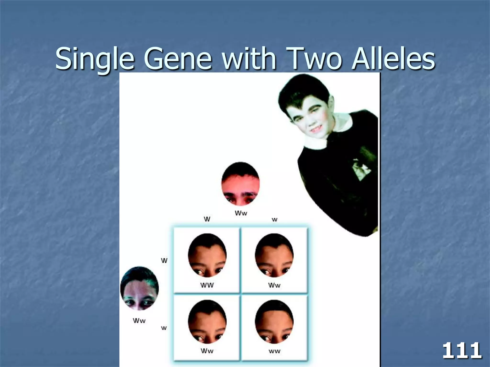 6'3" And 5'0": What Genes Determine Height? - dgvxt7m