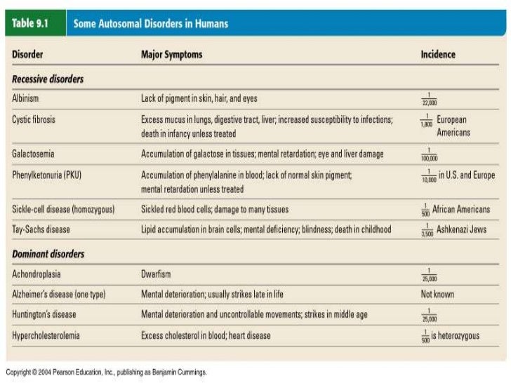 human genetics xy chromosome chart