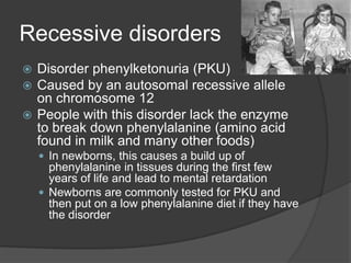 Recessive disorders
 Disorder phenylketonuria (PKU)
 Caused by an autosomal recessive allele
  on chromosome 12
 People with this disorder lack the enzyme
  to break down phenylalanine (amino acid
  found in milk and many other foods)
     In newborns, this causes a build up of
      phenylalanine in tissues during the first few
      years of life and lead to mental retardation
     Newborns are commonly tested for PKU and
      then put on a low phenylalanine diet if they have
      the disorder
 