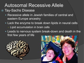 Autosomal Recessive Allele
   Tay-Sachs Disease
     Recessive allele in Jewish families of central and
      eastern Europe ancestry
     Lack the enzyme to break down lipids in neural cells
      ○ Lipid accumulation in brain cells
     Leads to nervous system break-down and death in the
     first few years of life
 