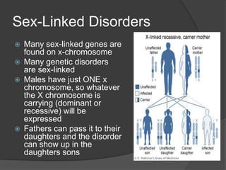 Sex-Linked Disorders
   Many sex-linked genes are
    found on x-chromosome
   Many genetic disorders
    are sex-linked
   Males have just ONE x
    chromosome, so whatever
    the X chromosome is
    carrying (dominant or
    recessive) will be
    expressed
   Fathers can pass it to their
    daughters and the disorder
    can show up in the
    daughters sons
 