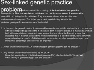 Sex-linked genetic practice
problem
1.  In humans the gene from normal blood clotting, H, is dominate to the gene for
hemophilia, h. This is a sex-linked trait found on the X chromosome. A woman with
normal blood clotting has four children. They are a normal son, a hemophiliac son,
and two normal daughters. The father has normal blood clotting. What is the
probable genotype for each member of the family?

2. In humans, the genes for colorblindness and hemophilia are both located on the X chromosome
     with no corresponding gene on the Y. These are both recessive alleles. If a man and a woman,
     both with normal vision, marry and have a colorblind son, draw the Punnett square that
     illustrates this. If the man dies and the woman remarries to a colorblind man, draw a Punnett
     square showing the type(s) of children could be expected from her second marriage. How
     many/what percentage of each could be expected?

3. A man with normal vision is XY. What kind(s) of gametes (sperm) can he produce?

4. Any woman with normal vision could be XX or XX'.
    Since this woman has a colorblind son (genotype X'Y), she has to be XX' (a carrier).
    What kind(s) of gametes (eggs) can she produce?
 