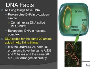 DNA Facts
   All living things have DNA
     Prokaryotes-DNA in cytoplasm,
      simple
       ○ Contain extra DNA called
          PLASMIDS
     Eukaryotes-DNA in nucleus,
      complex
   DNA codes for the same 20 amino
    acids in ALL living things
     It is the UNIVERSAL code..all
      organisms have the same A,T,G
      and C bases and the same 20
      a.a., just arranged differently
 