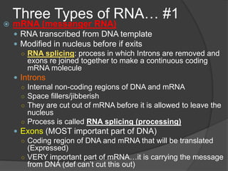 Three Types of RNA… #1
   mRNA (messanger RNA)
     RNA transcribed from DNA template
     Modified in nucleus before if exits
      ○ RNA splicing: process in which Introns are removed and
        exons re joined together to make a continuous coding
        mRNA molecule
     Introns
      ○ Internal non-coding regions of DNA and mRNA
      ○ Space fillers/jibberish
      ○ They are cut out of mRNA before it is allowed to leave the
        nucleus
      ○ Process is called RNA splicing (processing)
     Exons (MOST important part of DNA)
      ○ Coding region of DNA and mRNA that will be translated
        (Expressed)
      ○ VERY important part of mRNA…it is carrying the message
        from DNA (def can’t cut this out)
 