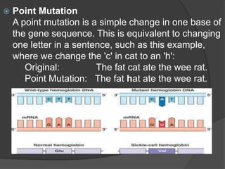    Point Mutation
    A point mutation is a simple change in one base of
    the gene sequence. This is equivalent to changing
    one letter in a sentence, such as this example,
    where we change the 'c' in cat to an 'h':
       Original:         The fat cat ate the wee rat.
       Point Mutation: The fat hat ate the wee rat.
 