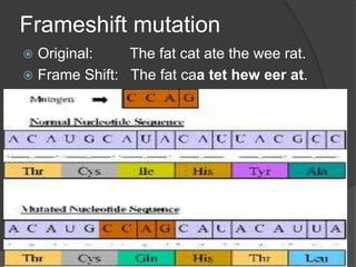 Frameshift mutation
 Original:    The fat cat ate the wee rat.
 Frame Shift: The fat caa tet hew eer at.
 