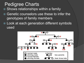 Pedigree Charts
 Shows relationships within a family
 Genetic counselors use these to infer the
  genotypes of family members
 Look at each generation different symbols
  used
 