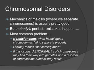 Chromosomal Disorders
 Mechanics of meiosis (where we separate
  chromosomes) is usually pretty good
 But nobody’s perfect…mistakes happen….
 Most common problem…
     Nondisjunction: when homologous
      chromosomes fail to separate properly
     Literally means “not coming apart”
     If this occurs, ABNORMAL #s of chromosomes
      may find their way into gametes and a disorder
      of chromosome number may result
 