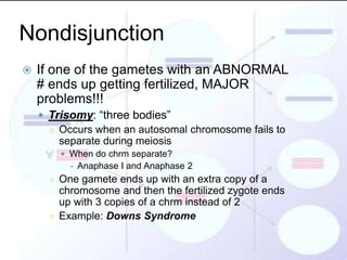 Nondisjunction
   If one of the gametes with an ABNORMAL
    # ends up getting fertilized, MAJOR
    problems!!!
     Trisomy: “three bodies”
      ○ Occurs when an autosomal chromosome fails to
        separate during meiosis
         When do chrm separate?
          - Anaphase I and Anaphase 2
      ○ One gamete ends up with an extra copy of a
        chromosome and then the fertilized zygote ends
        up with 3 copies of a chrm instead of 2
      ○ Example: Downs Syndrome
 