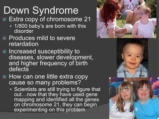 Down Syndrome
   Extra copy of chromosome 21
     1/800 baby’s are born with this
      disorder
 Produces mild to severe
  retardation
 Increased susceptibility to
  diseases, slower development,
  and higher frequency of birth
  defects
 How can one little extra copy
  cause so many problems?
     Scientists are still trying to figure that
      out…now that they have used gene
      mapping and identified all the genes
      on chromosome 21, they can begin
      experimenting on this problem
 