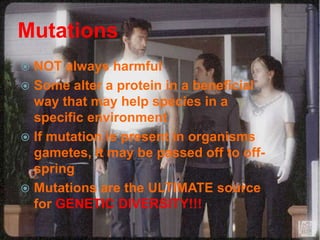 Mutations
 NOT always harmful
 Some alter a protein in a beneficial
  way that may help species in a
  specific environment
 If mutation is present in organisms
  gametes, it may be passed off to off-
  spring
 Mutations are the ULTIMATE source
  for GENETIC DIVERSITY!!!
 