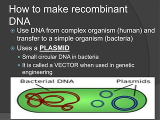 How to make recombinant
DNA
 Use DNA from complex organism (human) and
  transfer to a simple organism (bacteria)
 Uses a PLASMID
     Small circular DNA in bacteria
     It is called a VECTOR when used in genetic
     engineering
 